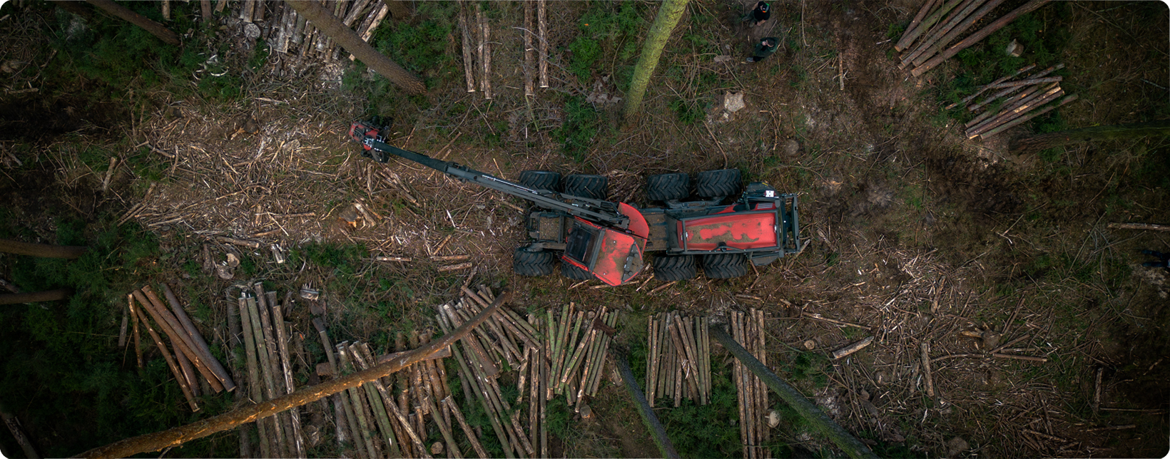 Holzverarbeitung aus der Vogelperspektive