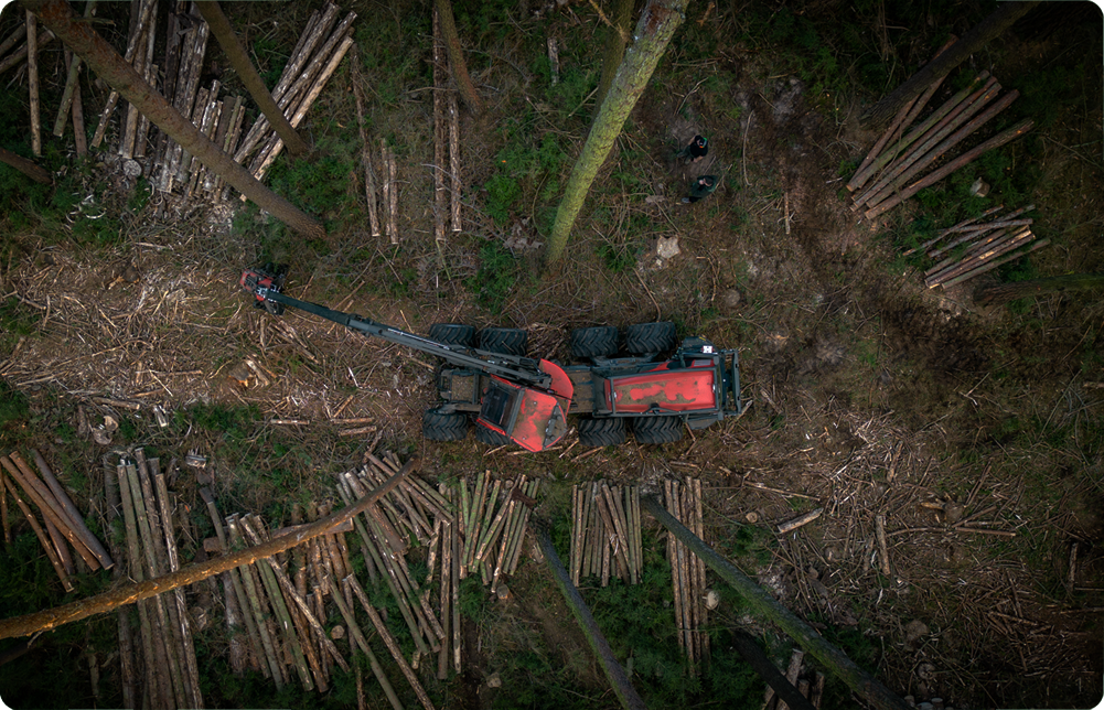 Komatsu Harvester im Waldeinsatz