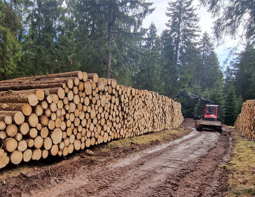 Holzstapel mit Forwarder