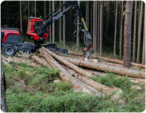 Komatsu 951XC Harvester im Waldeinsatz