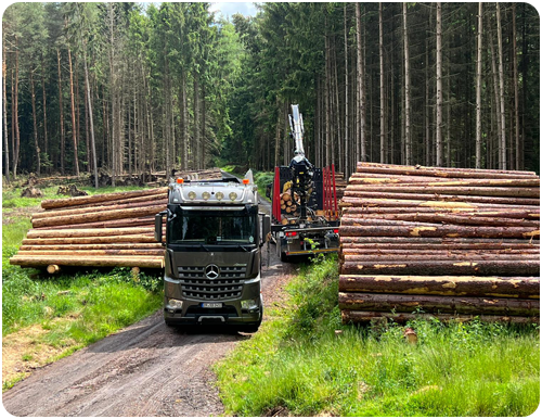 Mercedes LKW Holztransport im Wald