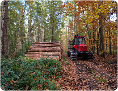 Komatsu Forwarder mit Traktionsbändern im Herbstwald