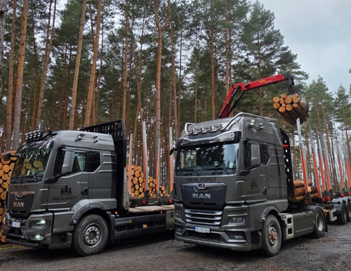 Zwei MAN Kranzüge an Holzpolter