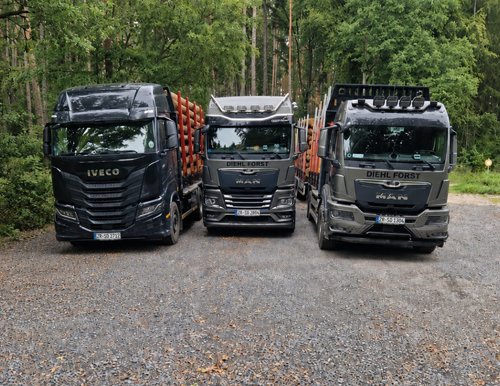 Drei Holztransport-LKW nebeneinander